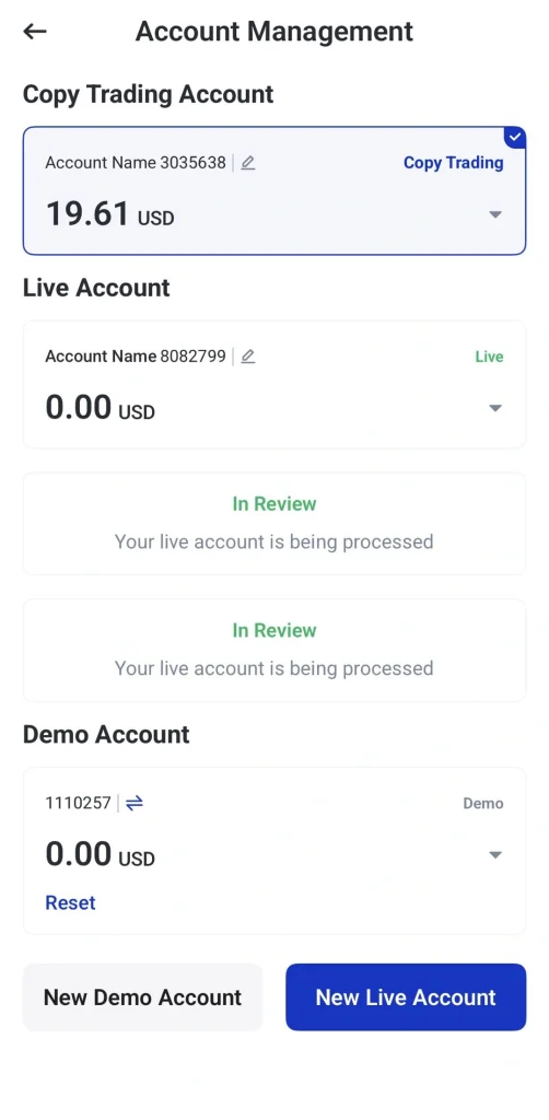 Copy Trading ile Live/Demo hesapları durum rozetleri ve işlem düğmeleriyle gösteren Account Management ekranı