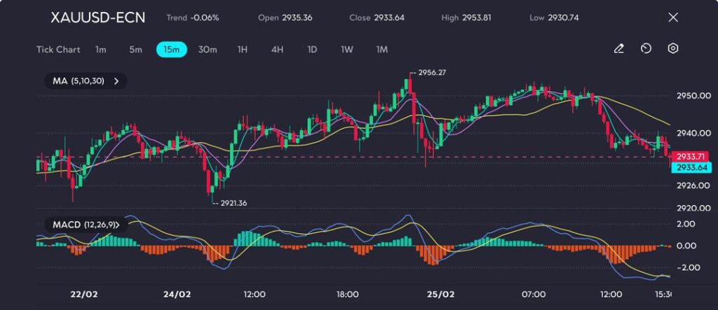 image VT Markets