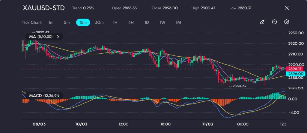1131 VT Markets