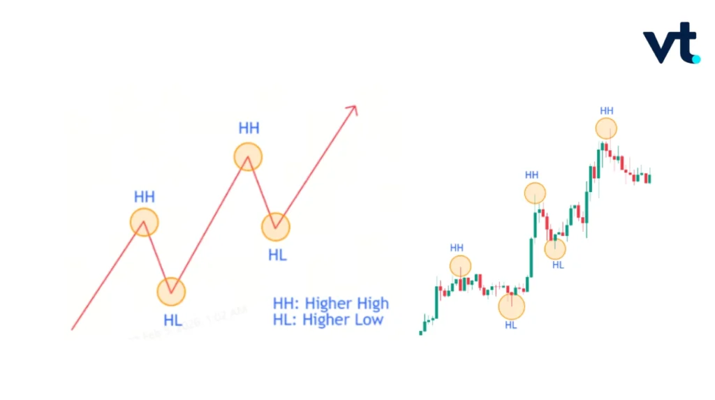 discover article VT Markets