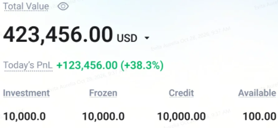 image 11 VT Markets Investment dashboard showing total value 423456 USD todays PL +12345600 +383 funds Investment 10k Frozen 10k Credit 10k Available 100