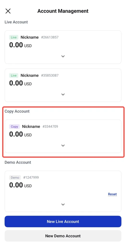 image 14 VT Markets Account Management screen showing multiple live and copy account cards with 000 USD balances and a highlighted Copy Account card for nickname 3344709